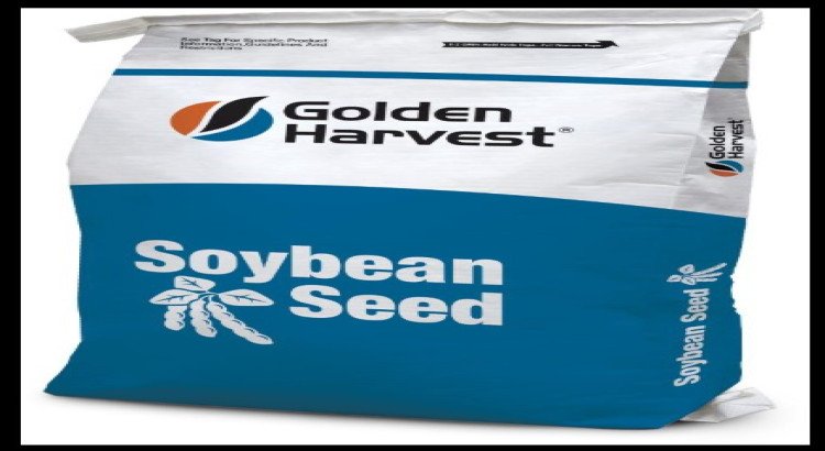 Premium Hybrid Soybean Seeds for Farming