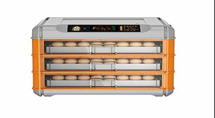Automatic Poultry Egg Incubator Machine