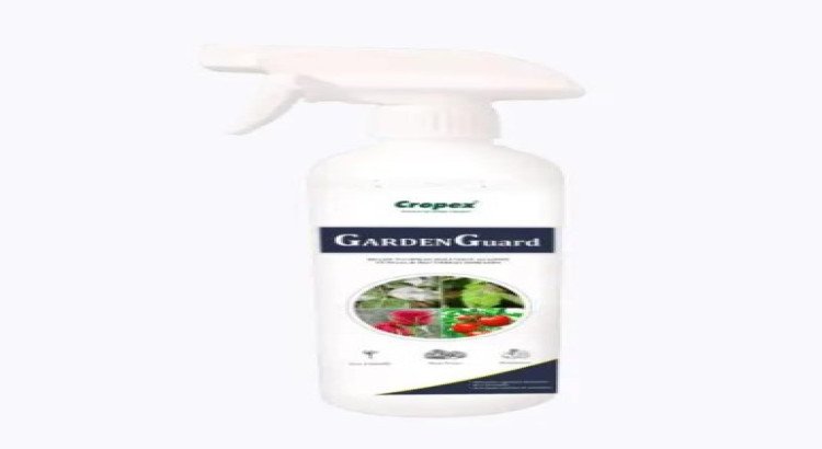 Fungicide Spray for Crop Disease Protection
