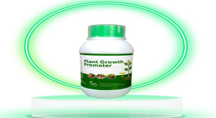 Organic Plant Growth Fertilizer for Crops